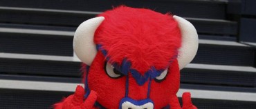 BISONS: SKOKAN ROKU 2012