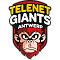 Telenet Giants Antwerp