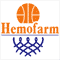 KK Hemofarm Vršac