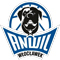 Anwil Wloclawek